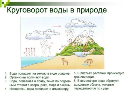 Кругообіг води в природі що це таке, опис процесу (кругообіг) Кругообіг води в природі що це таке, опис процесу
