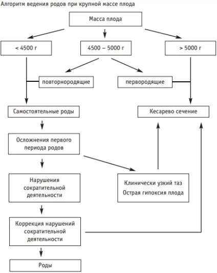 Крупний плід (макросомія)