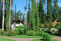 Ландшафтний дизайн родового маєтку, котеджу
