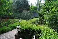 Ландшафтний дизайн родового маєтку, котеджу