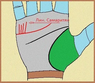 Лінія серця на руці значення (руці) Лінія серця на руці значення