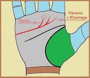 Лінія серця на руці значення (серця) Лінія серця на руці значення