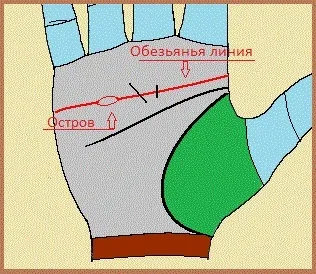 Лінія серця на руці значення (лінія) Лінія серця на руці значення