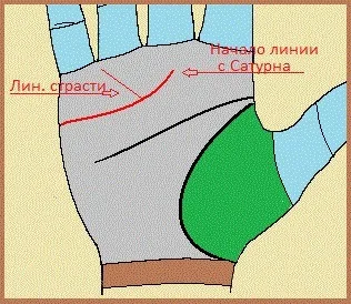 Лінія серця на руці значення (лінія) Лінія серця на руці значення