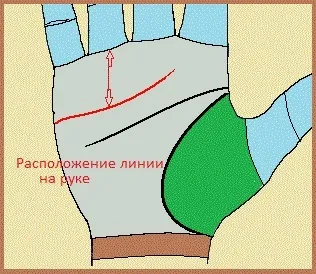 Лінія серця на руці значення (якостей такі люди) Лінія серця на руці значення