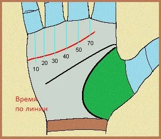 Лінія серця на руці значення (значення) Лінія серця на руці значення