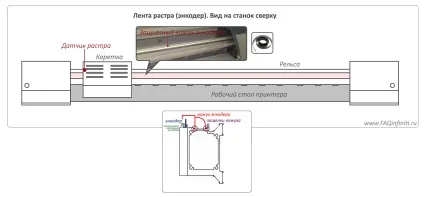 Стрічка растра (енкодер)