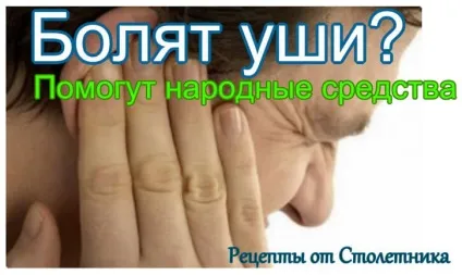 Лікування болю в вухах народні засоби, столітник (вухах) Лікування болю в вухах народні засоби, столітник
