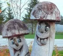Любов до кішок