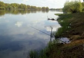 Ловля фідером на п'явку, ловимо все