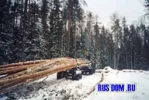 Макроструктура і категорії деревини (захисний шар деревини) Макроструктура і категорії деревини