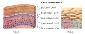 Кращі зволожуючі маски для обличчя в домашніх умовах, відгуки (маски) Кращі зволожуючі маски для обличчя в домашніх умовах, відгуки