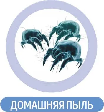 Магазин - сибірське здоров'я - новини компанії - життя без алергії! (Активізують очищаючі функції) Магазин - сибірське здоров'я - новини компанії - життя без алергії!