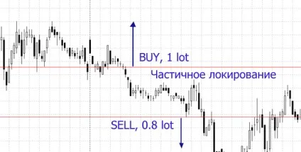 Локірованіе позицій, як спосіб захисту депозиту (позицій) Локірованіе позицій, як спосіб захисту депозиту