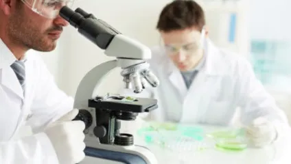 Лямблії в печінці симптоми і лікування (печінки) Лямблії в печінці симптоми і лікування