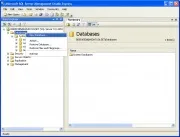 Manual database installation