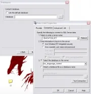 Manual database installation