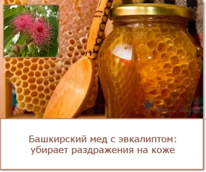 Маска з меду для обличчя від прищів в домашніх умовах