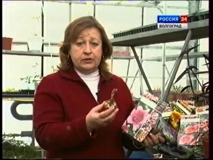 Ми беремо з собою кота 1 (викликають пронос блювоту) Ми беремо з собою кота 1