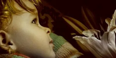 Багаторічні квіти осіння посадка (закритою кореневою системою) Багаторічні квіти осіння посадка