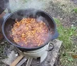 Чи можна на дачі виростити нут