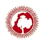 Музика перекладу iii