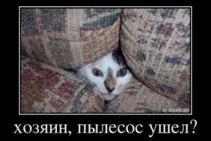 Народні прикмети Грудень Про погоді