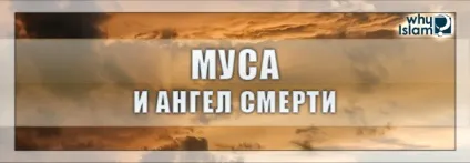 Муса (мир йому) і ангел смерті, чому іслам (муса) Муса (мир йому) і ангел смерті, чому іслам