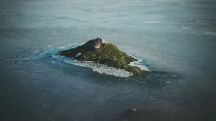 На цих фотографіях зображено зовсім не те, що вам здасться на перший погляд - в світі цікавого () На цих фотографіях зображено зовсім не те, що вам здасться на перший погляд - в світі цікавого