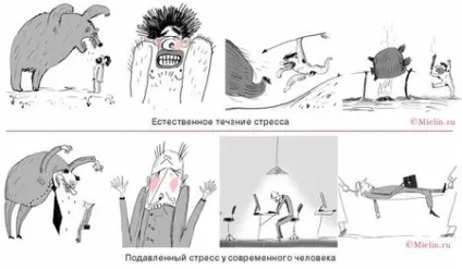 Чи можна померти від ВСД чим небезпечна вегето судинна дистонія (небезпека ВСД) Чи можна померти від ВСД чим небезпечна вегето судинна дистонія