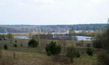 Музей-заповідник а