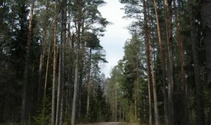 Музей-заповідник а