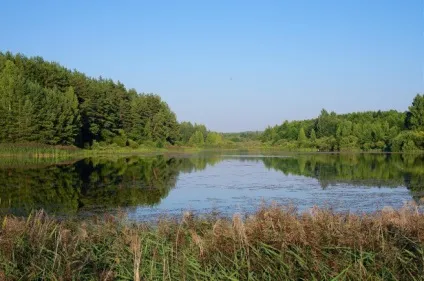 Музей-заповідник - пушкінські гори практичні питання (гори) Музей-заповідник - пушкінські гори практичні питання