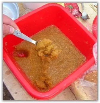 Нерест і жор щуки