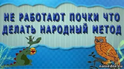 Не працюють нирки що робити народний метод - сечостатева система - лікування хвороб - народні (працюють) Не працюють нирки що робити народний метод - сечостатева система - лікування хвороб - народні