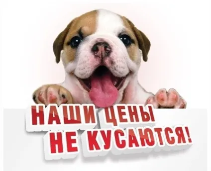 Натяжні стелі в Тюмені - купити недорого, замовити установку, калькулятор розрахунку цін стелі (стелі) Натяжні стелі в Тюмені - купити недорого, замовити установку, калькулятор розрахунку цін стелі