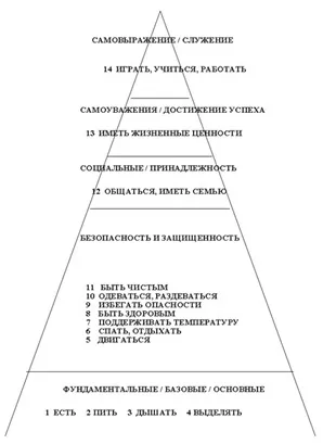 Ноу Інти, лекція, поняття про здоров'я (Прояви порушення потреби) Ноу Інти, лекція, поняття про здоров'я