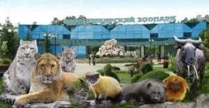 Нпф довіру як розірвати договір, news-nsk (довіру) Нпф довіру як розірвати договір, news-nsk