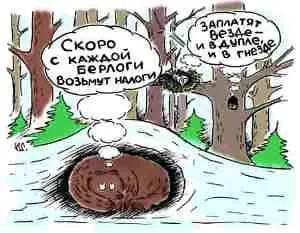 Чи потрібно платити податки з форекса, блог вільного інвестора (податки) Чи потрібно платити податки з форекса, блог вільного інвестора