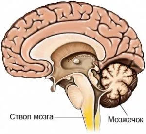 Неврологія мозочкова атаксія (координації рухової активності) Неврологія мозочкова атаксія