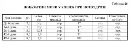 нотоедроз статті