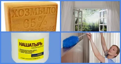 Чи несуть небезпеку білизняні кліщі (білизняні) Чи несуть небезпеку білизняні кліщі