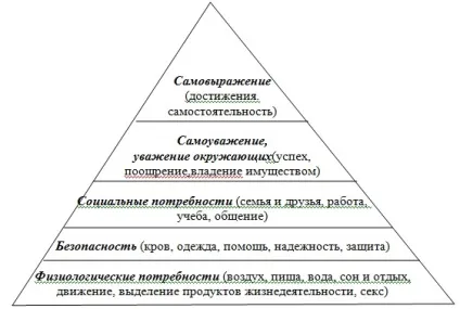 Ноу Інти, лекція, поняття про здоров'я (медичної сестри допомогти) Ноу Інти, лекція, поняття про здоров'я