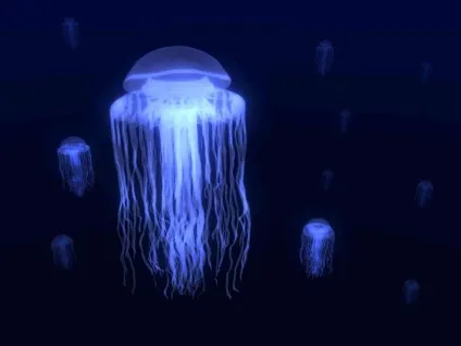 Мешканці морського дна