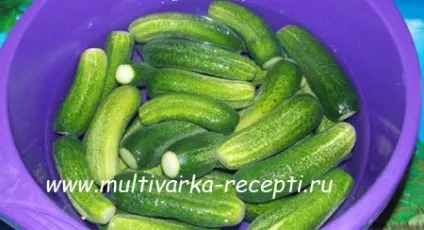 Огірки з морквою на зиму (мариновані огірки) Огірки з морквою на зиму