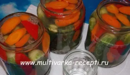 Огірки з морквою на зиму (зиму) Огірки з морквою на зиму