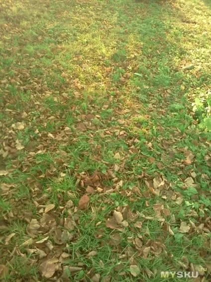 Окуляри з жовтими лінзами (Логотип фірми скельце) Окуляри з жовтими лінзами