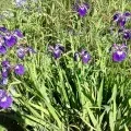 10 Рад про те, як не захворіти восени (ранній розвиток) 10 Рад про те, як не захворіти восени