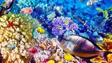 12 Креативних світильників і люстр своїми руками - фото креатив (люстр) 12 Креативних світильників і люстр своїми руками - фото креатив