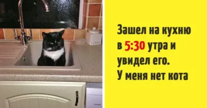 11 іронічно коміксів про те, що значить бути жінкою